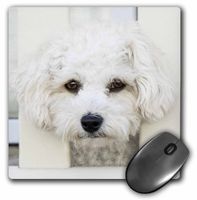 3dRose 1 Durable Mouse Pad (mp_261457_1)