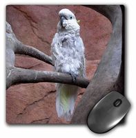 3dRose LLC 8 x 8 x 0.25 Inches Cockatoo Mouse Pad (mp_12201_1)
