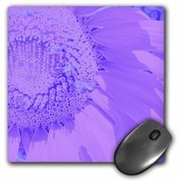 3dRose LLC 8 x 8 x 0.25 Inches Mouse Pad, Amethyst Sunflower Art Flowers Designs Inspired by Nature (mp_32618_1)