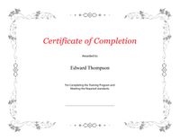St. James Award Certificates, Premium Weight, 15 Blank Plain White Paper Sheets, White with Silver Foil Metallic Border, Computer Paper, Laser & Inkjet Printer Compatible, 11 x 8.5", 15/Pack