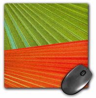 3dRose LLC 8 x 8 x 0.25 Inches Mouse Pad, Green Orange Palm Leaves (mp_20646_1)