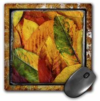 3dRose LLC 8 x 8 x 0.25 Inches Shabby Autumn Pattern Mouse Pad (mp_48124_1)