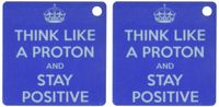 3dRose Think Like a Proton and Stay Positive, Blue, Science Teacher Key Chains, Set of 2 (kc_173353_1)