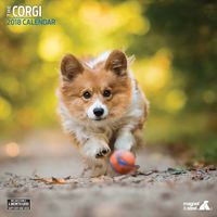 Corgi 2018 Traditional Wall Calendar