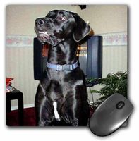 3dRose LLC 8 x 8 x 0.25 Inches Black Great Dane Mouse Pad (mp_967_1)