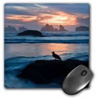 3D Rose"USA Oregon Bandon Beach. Seagull On Rock at Twilight." Matte Finish Mouse Pad - 8 x 8" - mp_231472_1
