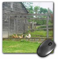 3dRose LLC 8 x 8 x 0.25 Inches Mouse Pad, Country Chicken and Rooster Pen with Barn (mp_44919_1)