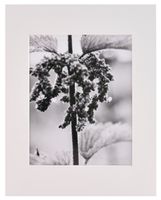 Nielsen Bainbridge PRE-Cut Center 11"X14" ARTCARE White MAT with 8"X10" Opening