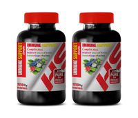 Brain and Memory Vitamins - Immune Support Complex 1550 Mg with Raspberry Green Tea Turmeric GRAVIOLA Grape Pine BARK - Green Tea Extract Extra Strength - 2 Bottles 120 Capsules