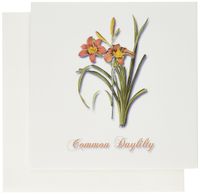 3dRose Set of 12 Greeting Cards, Botanical Print of a Rust and Yellow Flowering Lily (gc_171192_2)