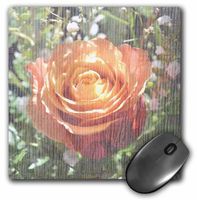 3dRose LLC 8 x 8 x 0.25 Inches Mouse Pad, Pretty Peach Rose Floral Flowers (mp_29254_1)