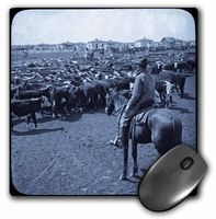 3dRose LLC 8 x 8 x 0.25 Inches Early 1900s Under a Big Blue Texas Sky Cyan with Border Mouse Pad (mp_16073_1)