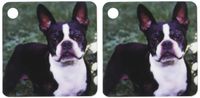 3dRose Boston Terrier Duke - Key Chains, 2.25 x 4.5 inches, set of 2 (kc_3111_1)