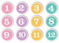 Tiny Ideas First Year Monthly Milestone Photo Sharing Baby Belly Stickers, 1-12 Months, Pink