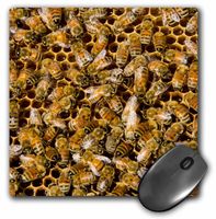 Bee keeping at Arlos Honey Farm, Kelowna, British Columbia, Canada. - Mouse Pad, 8 by 8 inches (mp_206486_1)