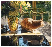 2019 Wall Calendar, Cats Calendar