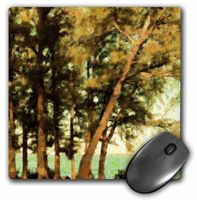 3dRose LLC 8 x 8 x 0.25 Inches Pines On The River Mouse Pad (mp_11037_1)
