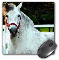 3dRose LLC 8 x 8 x 0.25 Inches Andalusian Gelding Mouse Pad (mp_671_1)