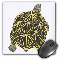 3dRose LLC 8 x 8 x 0.25 Inches Star Tortoise Painting Mouse Pad (mp_15323_1)
