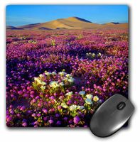 3D Rose"USA California Dumont Dunes. Desert Wildflowers at The Dumont Dunes." Matte Finish Mouse Pad - 8 x 8" - mp_209352_1