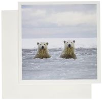 3dRose Artic Polar Bear Cubs in Slushy Waters 6 x 6 Inches Greeting Cards, Set of 6 (gc_191969_1)