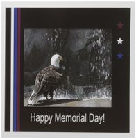 3dRose Memorial Day, Eagle by Waterfall - Greeting Cards, 6 x 6 inches, set of 12 (gc_40482_2)