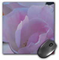 3dRose LLC 8 x 8 x 0.25 Inches Mouse Pad, Angel Petals Pink Rose Flowers Flower Photography (mp_31377_1)