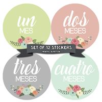 Months In Motion Spanish Espanol Monthly Baby Stickers - 12 Month Milestone Sticker for Newborn Babies - Shower Gift - Photo Keepsake