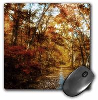 3Drose LLC 8 X 8 X 0.25 Inches Mouse Pad, Autumn Road (Mp_110775_1)