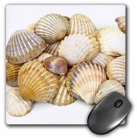 3dRose LLC 8 x 8 x 0.25 Inches Sea Shells Shore Summer Beach Theme Pattern Mouse Pad (mp_50550_1)