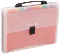 Handle Portable Expandable Multicolor A4 Accordion File Manager/Business Office Student Plastic Folder Organizer - 13 Pockets
