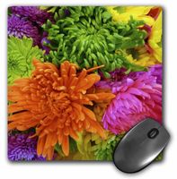 3dRose LLC 8 x 8 x 0.25 Inches Mouse Pad, Orange Lime Pink Carnations (mp_38976_1)