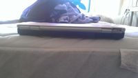 Dell Inspiron 1525 laptop