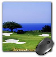 3dRose LLC 8 x 8 x 0.25 Inches Mouse Pad, Greg Johnston (mp_72383_1)
