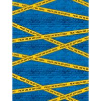 Creative Converting 329398 PHOTO BACKDROP, 72 x 54-, Multicolor