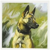 3dRose Belgian Malinois - Greeting Cards, 6 x 6 inches, set of 6 (gc_4385_1)