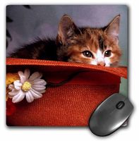3dRose LLC 8 x 8 x 0.25 Inches Mouse Pad, Love You Cat in The Hat (mp_786_1)