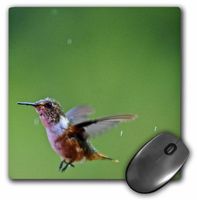 3dRose LLC 8 x 8 x 0.25 Inches Hummingbird in Flight Mouse Pad (mp_10445_1)