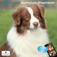 LittleGifts Australian Shepherd 2016 Calendar (1223)