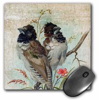 3dRose LLC 8 x 8 x 0.25 Inches Mouse Pad, Vintage Birds with Texture Added by Angle and Spot (mp_10877_1)