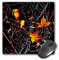3dRose LLC 8 x 8 x 0.25 Inches Halloween Spider and Crystal Web Mouse Pad (mp_4477_1)