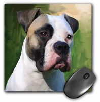 3dRose LLC 8 x 8 x 0.25 Inches American Bulldog Mouse Pad (mp_4151_1)