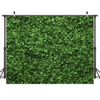 Dudaacvt 7x5ft Green Floral Leaves Backdrop Still Life Grass Leaf Pictures Background Summer Spring Jungle Party Home Decor Outdoorsy Theme Shoot Props Drop D332 ...