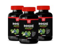 Immune System Booster - Immune Support Complex - Natural Herbal Formula - Works Fast - Turmeric Green Tea GRAVIOLA - Turmeric Organic Powder - 3 Bottle (180 Caps)