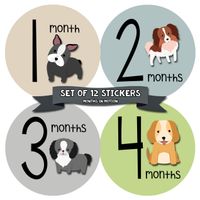 Months In Motion Gender Neutral Monthly Baby Milestone Stickers - Onesie Month Sticker - Infant Photo Prop for First Year - Shower Gift - Newborn Keepsakes - Unisex Boy or Girl - Puppy Dog