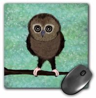 3dRose LLC 8 x 8 x 0.25 Inches Baby Owls First Adventure Mouse Pad, Green Blue (mp_57120_1)