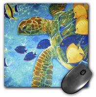 3dRose LLC 8 x 8 x 0.25 Inches Mouse Pad, Turtle and Fish (mp_43865_1)