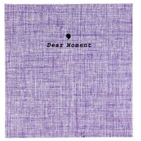 Big Trend 100 Pockets Instax Mini Photo Album Film Book for Fujifilm Instax Mini 9 8 7s 90 70 25 Polaroid 300 Instant Camera 3 Inch Picture Name Card Holder (100 Pockets, Purple)