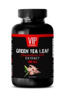 Weight Loss Supplements for Women - Green Tea Leaf Extract - Green Tea Pills for Men - 1 Bottle 60 Capsules