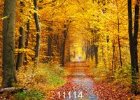 WOLADA 7x5ft Autumn Forest Photo Backdrop Yellow Fallen Leaves Photography backdrops Party Weeding Decor Vinyl Video Photography Background for Studio Prop 11114